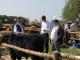 thumbnail 118 --7264.jpg